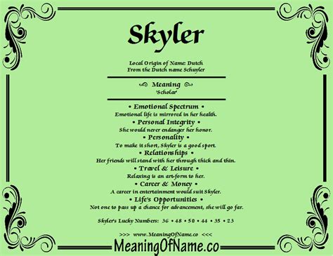 skylar definition|skylar meaning in the bible.